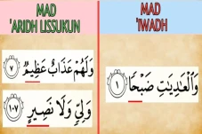 15 Contoh Bacaan Mad...