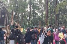 Liburan Panjang, 16...