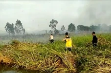 Titik Api Bermunculan...