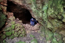 Ahli Paleontologi Temukan...