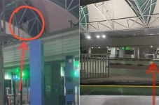 Geger Penampakan Kuntilanak...