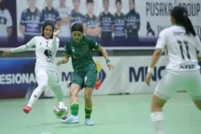 Hasil Liga Futsal Profesional...