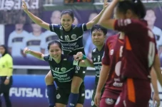 Hasil Liga Futsal Profesional...