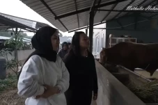 Rayakan Idul Adha Pertama,...