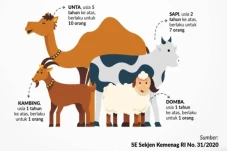 Hewan yang Sah untuk...