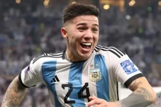 Profil Enzo Fernandez,...
