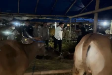 Mentan Sebut Kebutuhan...
