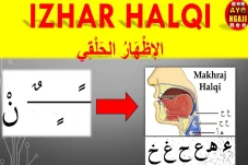 Izhar Halqi: Pengertian,...