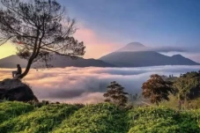 Sejarah dan Asal Usul...