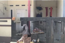 Rumah Penampung Pendonor...