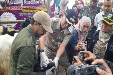 Pemkot Jakarta Pusat...