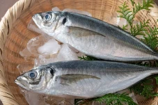 8 Manfaat Ikan Kembung...
