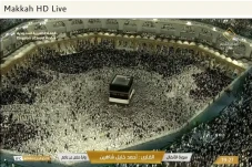 Link Live Streaming...