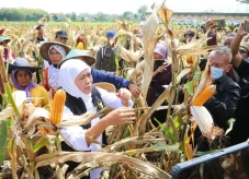 Gubernur Khofifah: Peningkatkan...