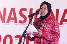 Risma Ungkap Akar Maraknya...