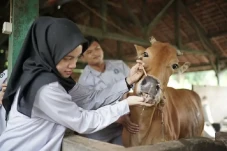 Prospek Kerja Prodi...