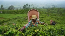 Sri Lanka Mulai Tukar...