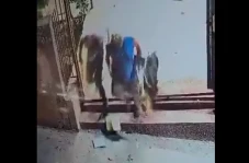 Lihat Sendiri! Pemukim...