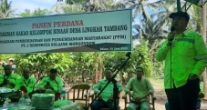 Petani Dampingan Panen...