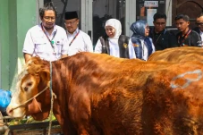 Gubernur Khofifah Imbau...