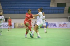 Hasil Liga Futsal Profesional...