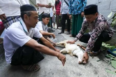 Sambut Iduladha, Santri...