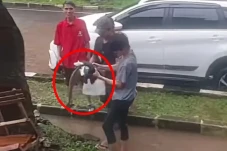 Langka! Warga Temukan...