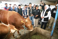 Gubernur Khofifah Pastikan...
