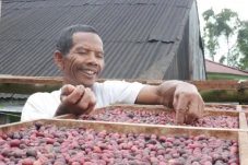 Kopi Jadi Alternatif...