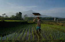 375 Ribu Petani di Sumut...