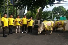 DMI dan Bintang Toedjoe...