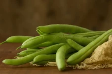 Benarkah Kacang Panjang...