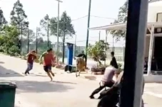 Sapi Kurban Mengamuk...