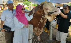 Bacaleg Perindo Ratu...