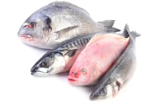 7 Manfaat Konsumsi Ikan...