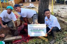 Peduli Stunting, Daging...
