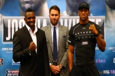 Dillian Whyte Teken...
