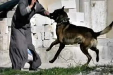 Kisah Pendeta Nasrani...