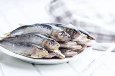5 Fakta Ikan Sarden...