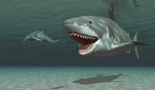 Perbandingan Hiu Megalodon...