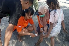 Ubur-ubur Serang Wisatawan...