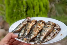 4 Ikan yang Aman Dikonsumsi...