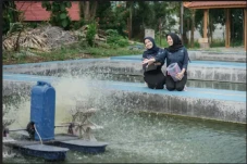 Mengenal Prodi IKN IPB...
