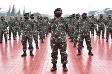 Daftar Kepala Staf Kogabwilhan...