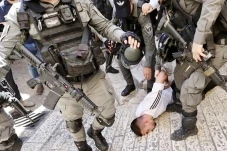 Pakar PBB Sebut Israel...