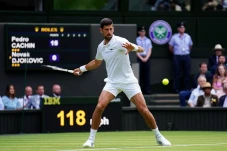Novak Djokovic Ngaku...