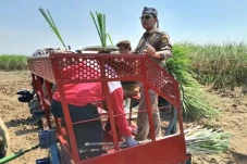 Mentan SYL Dorong Petani...