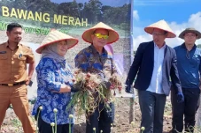 Sumatera Utara Bakal...