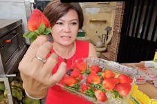 Viral Ci Mehong Jualan...