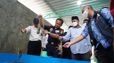 KKP Identifikasi Pola...